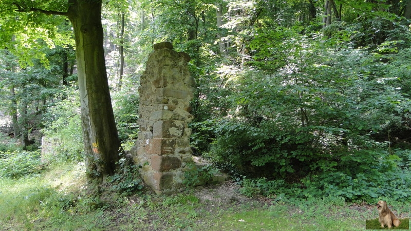 Ritterstein Nr. 281-10b Leiningische Hofruine Weilach.JPG - Ritterstein Nr.281 Leiningische Hofruine Weilach